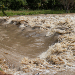प्रधानमंत्री मोदी ने हिमाचल प्रदेश में बाढ़ प्रभावितों के लिए 1500 करोड़ रुपये की सहायता राशि की घोषणा की।